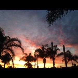 Meet your Posher, Bonnie